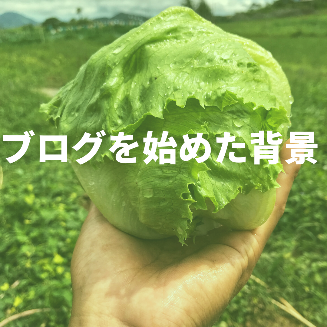 ブログ開設の背景 野菜男児 緑なブログ